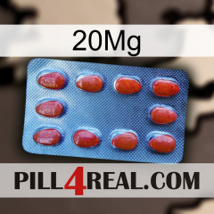 20Mg 06